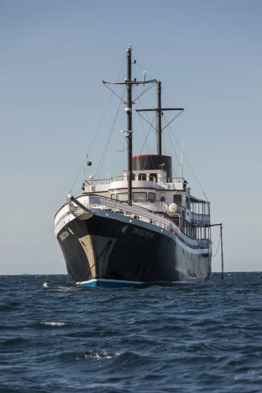 Evolution Yacht
