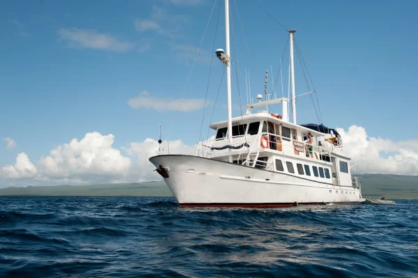 Golondrina Yacht