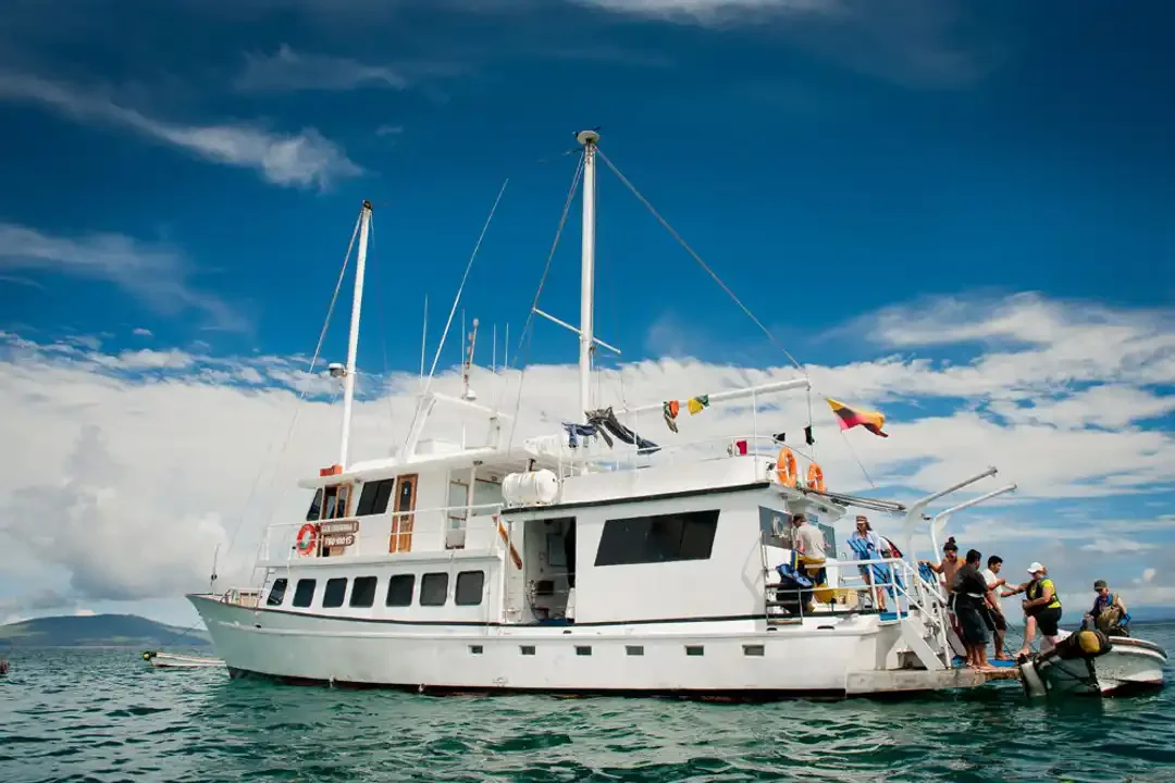 Golondrina Yacht