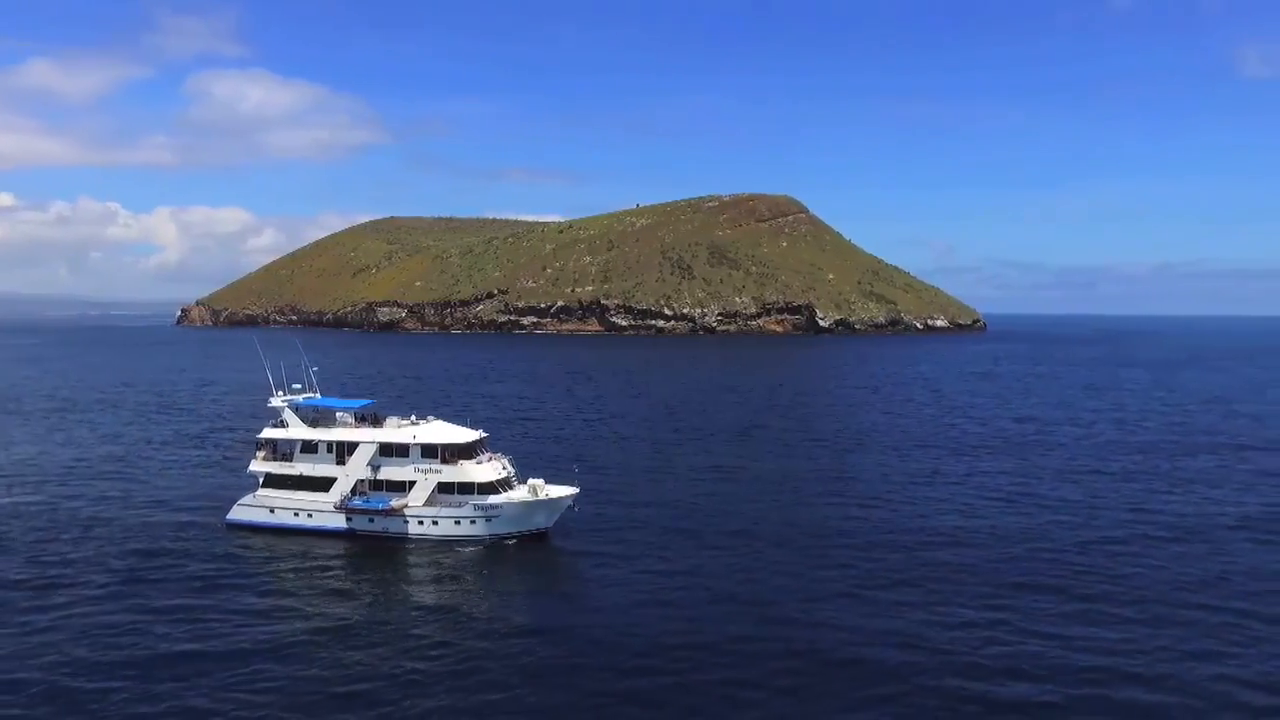 Grand Majestic Yacht