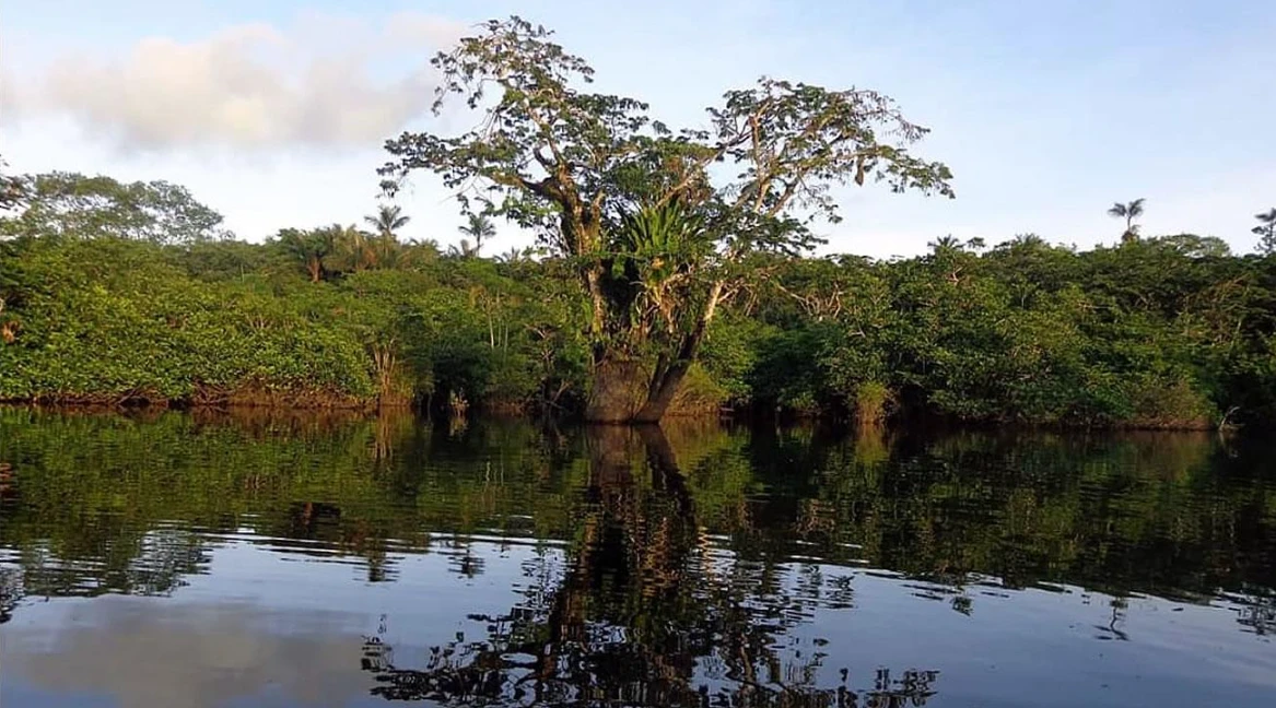 Laguna Lagartococha