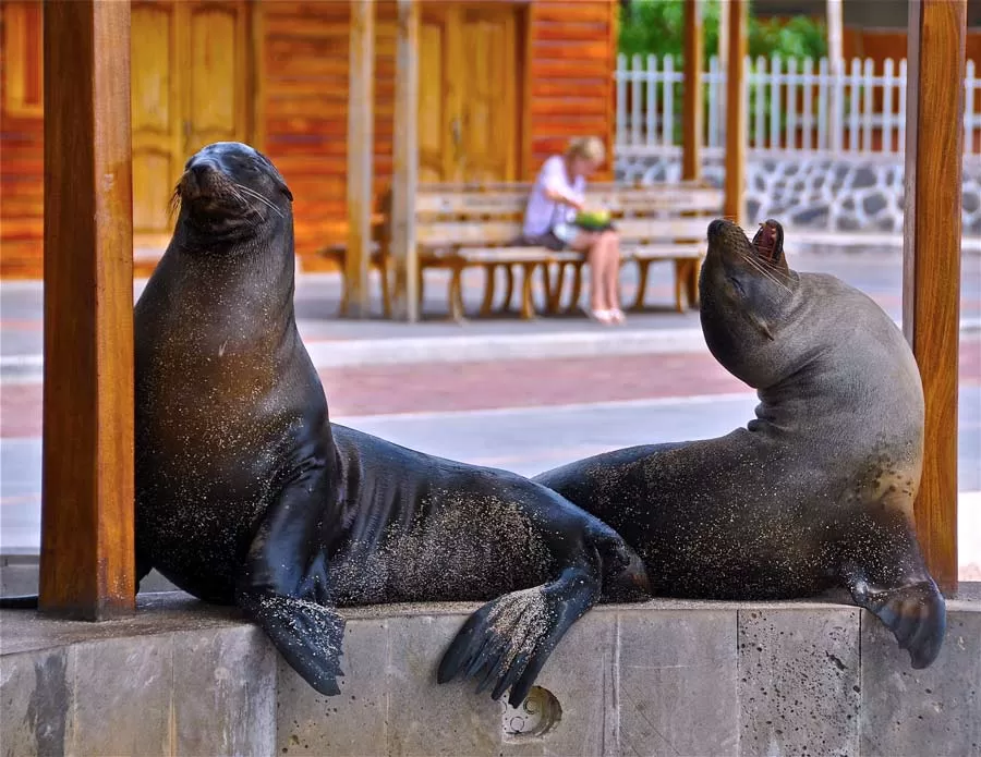 5 popular destinations within the Galápagos Islands