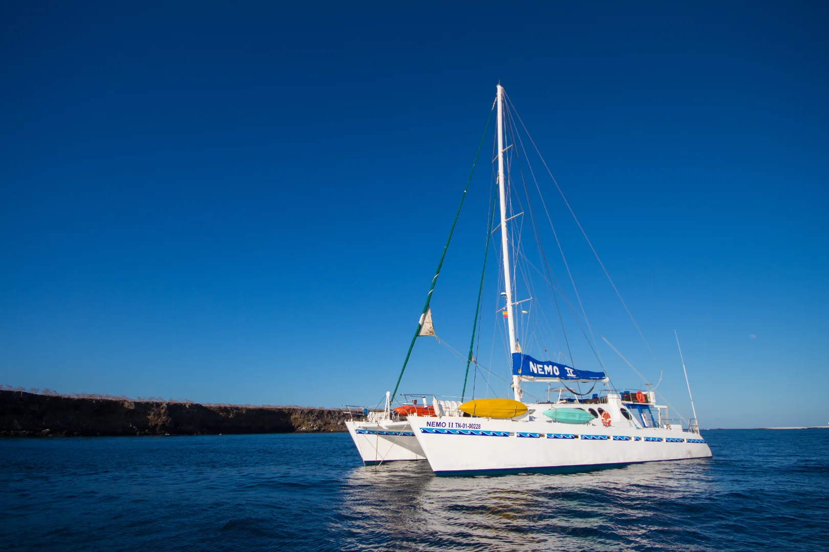 Catamaran Nemo II