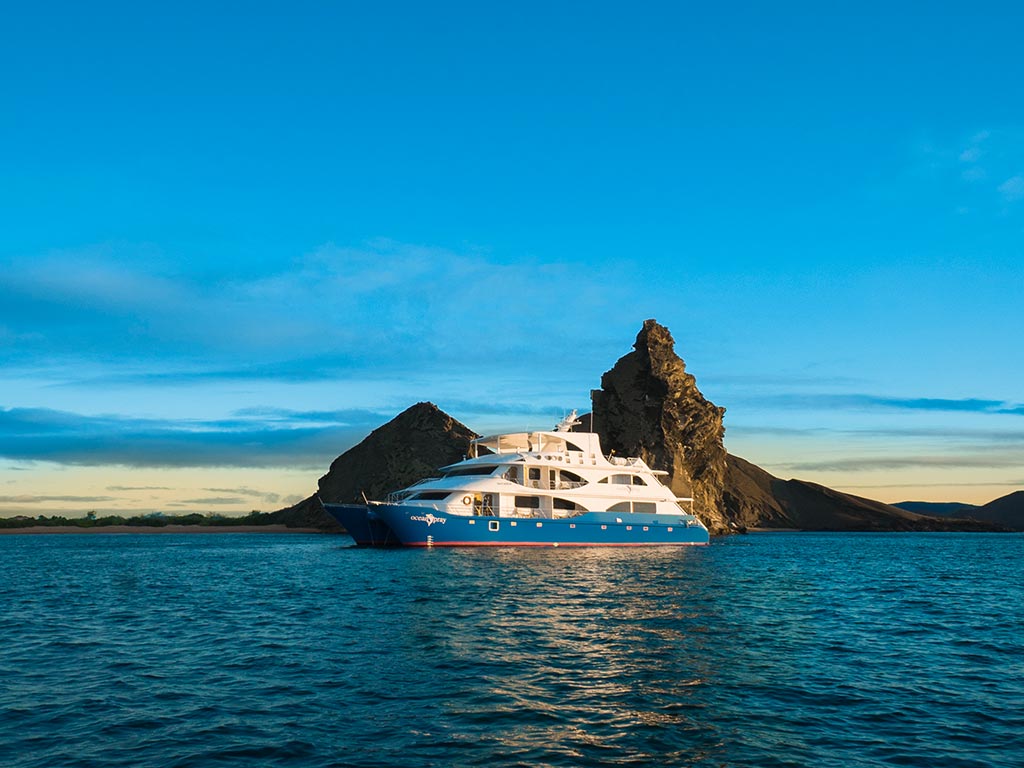 Catamaran Ocean Spray