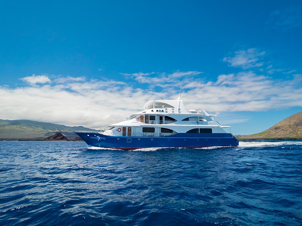 Catamaran Ocean Spray