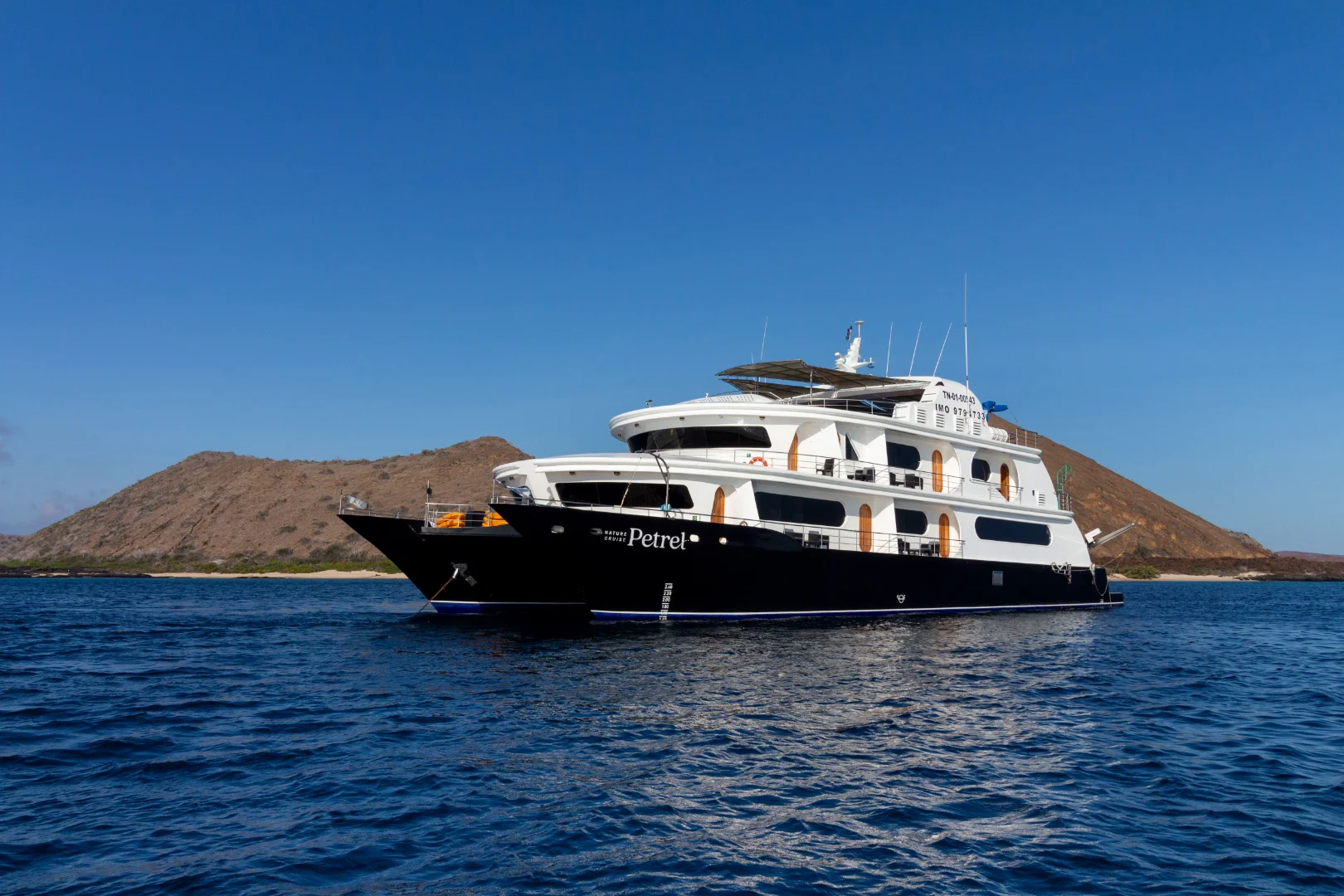 Catamaran Petrel
