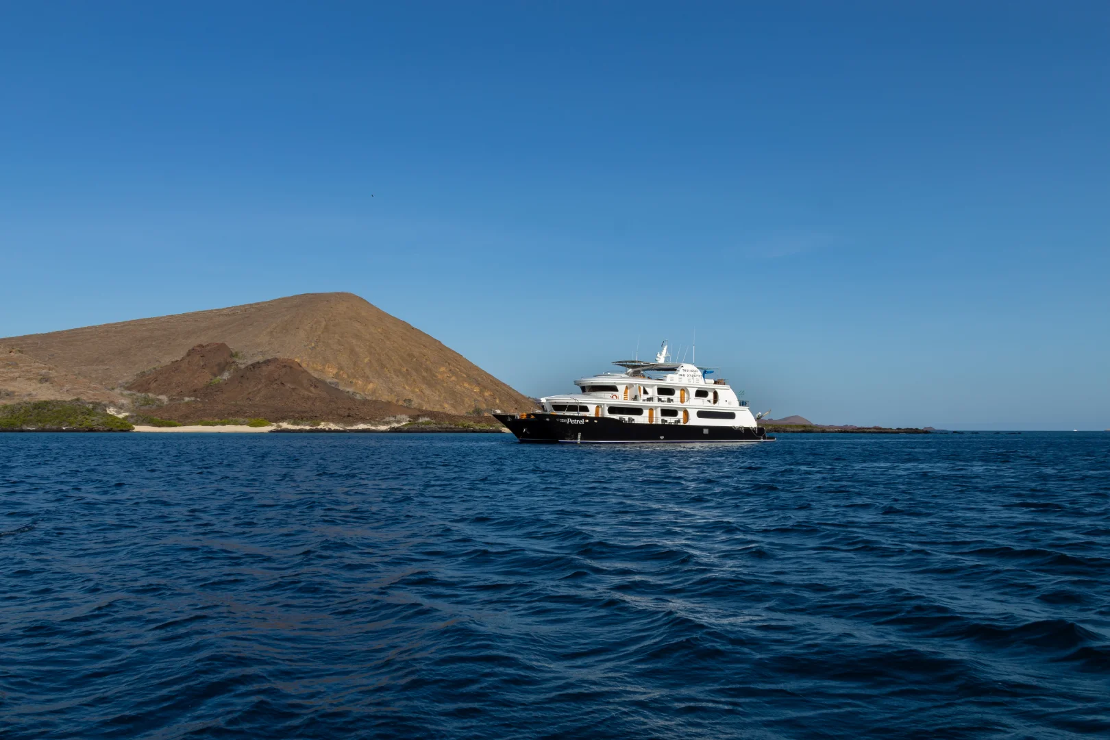 Catamaran Petrel