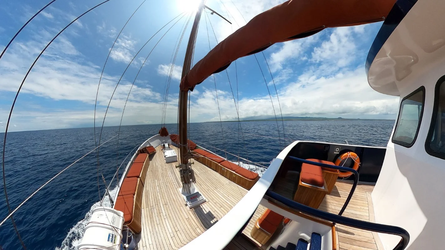 Samba Velero