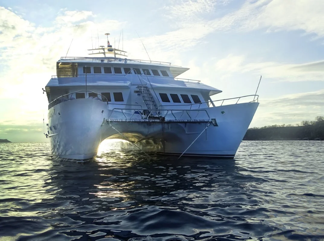 Seaman Journey Catamaran