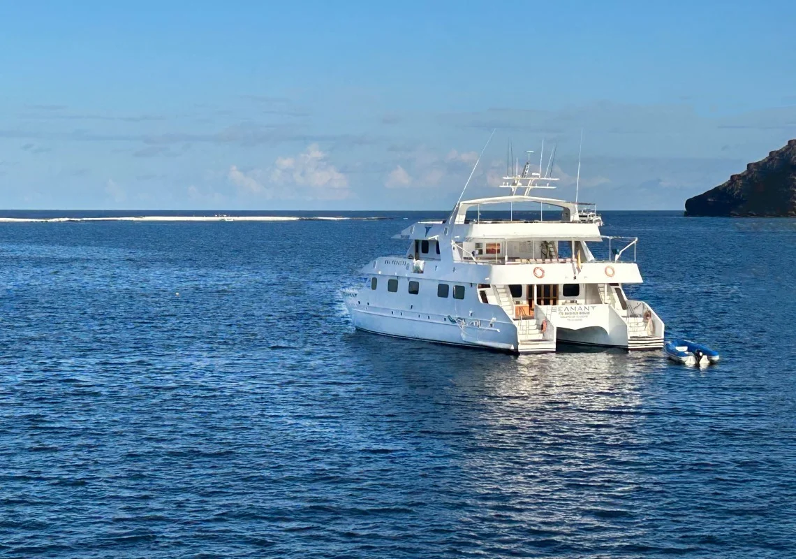 Seaman Journey Catamaran