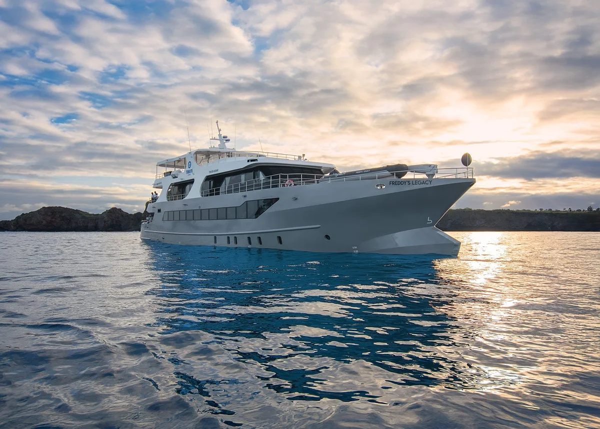 Catamaran Tribute
