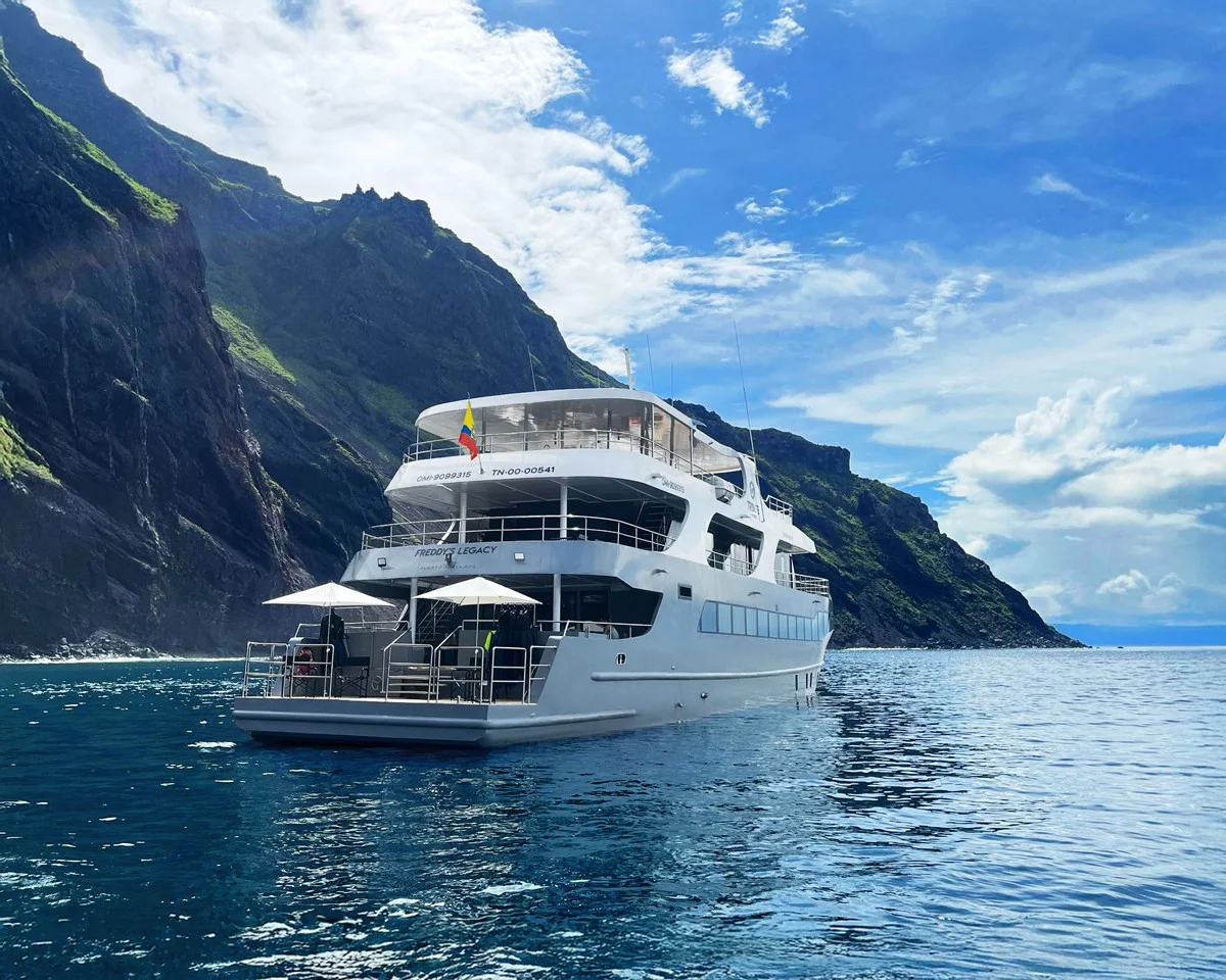 Catamaran Tribute