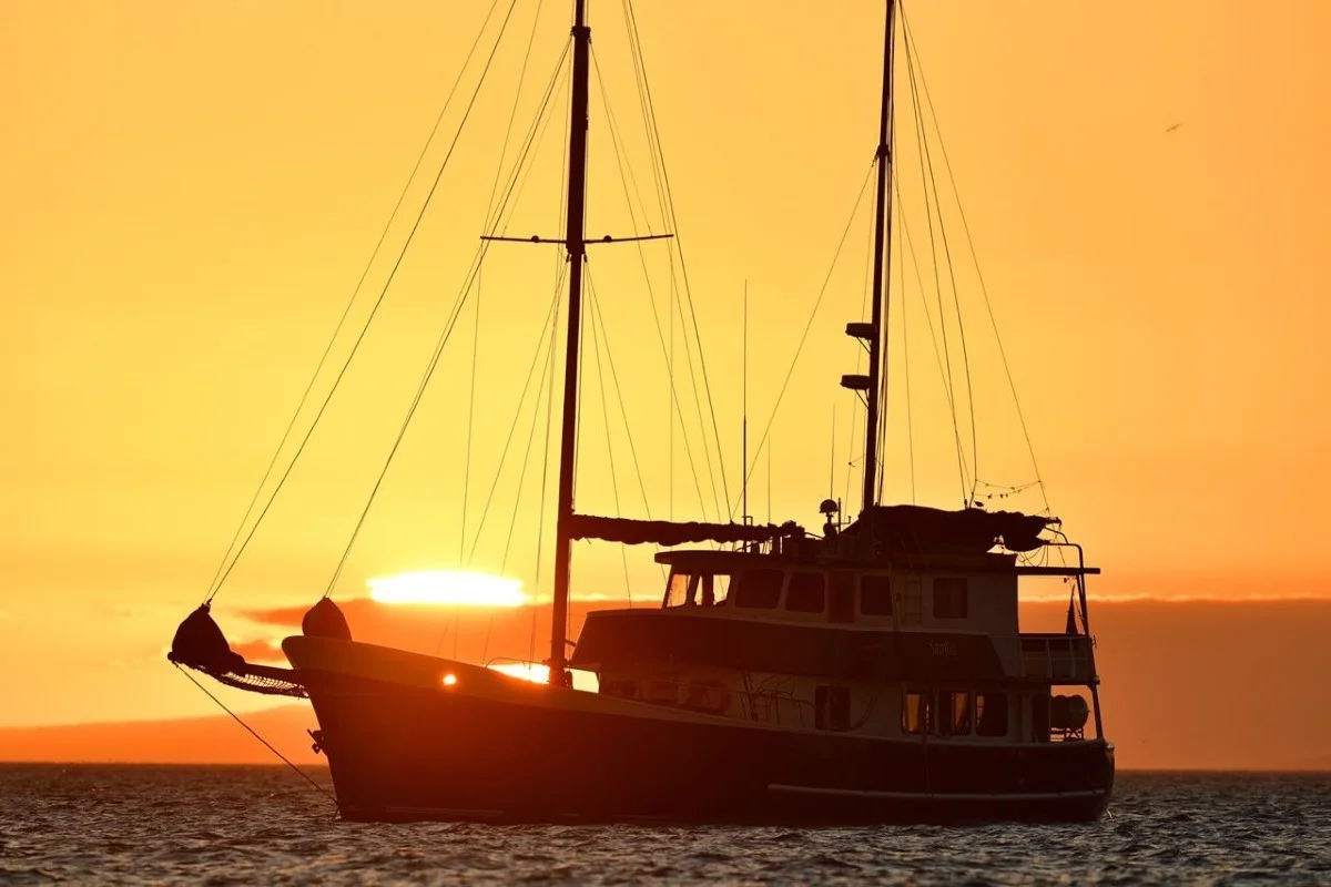 Samba Velero