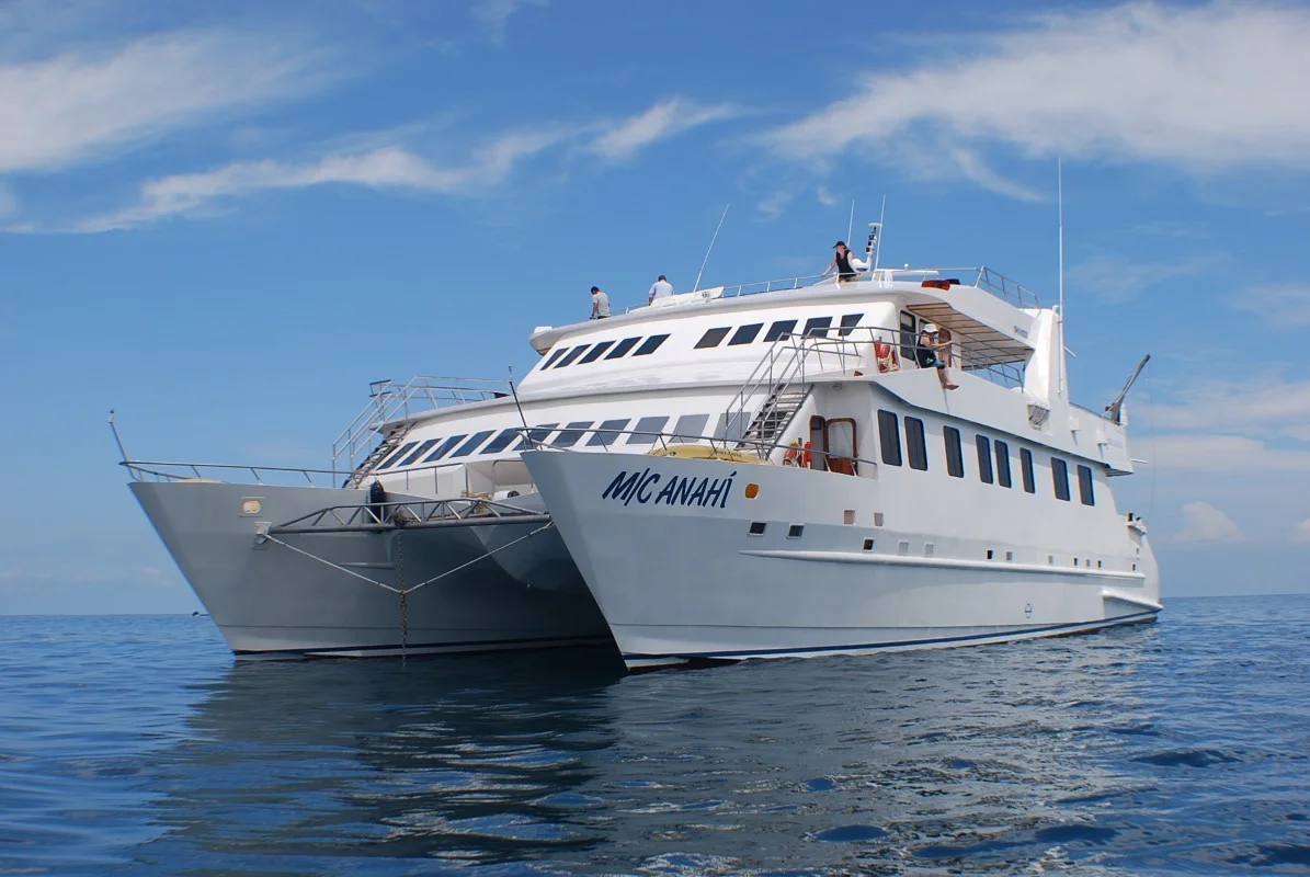 Catamaran Anahí