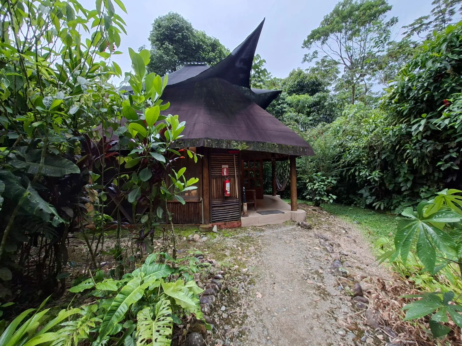 Cabaña de Huasquila Amazon Lodge junto a un sendero en la reserva privada