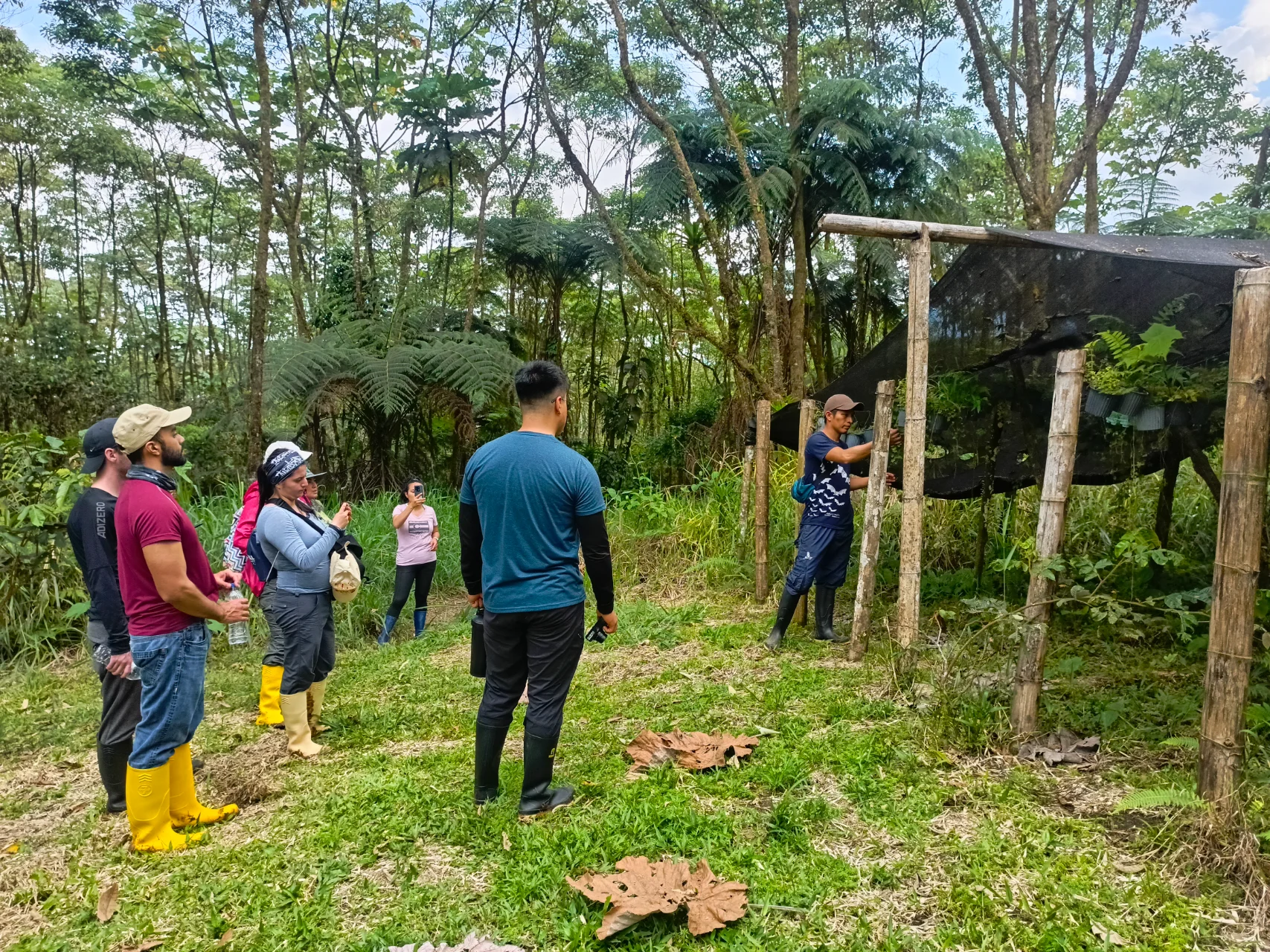 Tour guiado por el vivero de plantas medicinales en Huasquila Amazon Lodge