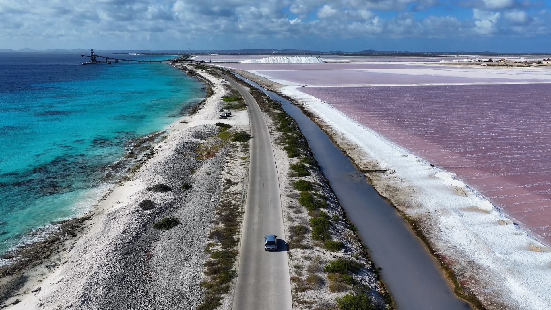 Bonaire Tauchreise: 8 Tage Drive & Dive