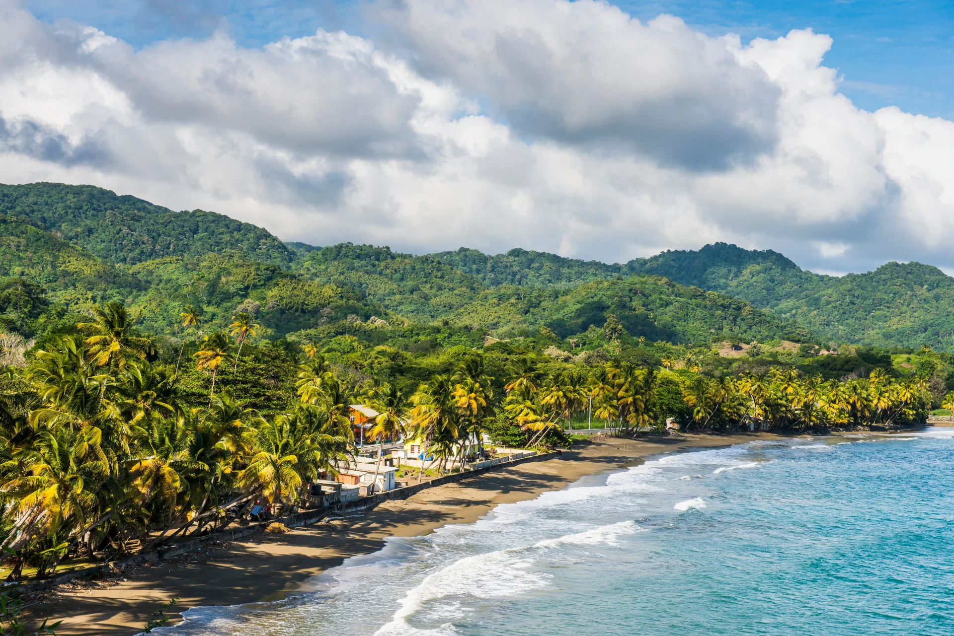 Trinidad & Tobago Naturreise: Strände, Regenwald und Tierwelt