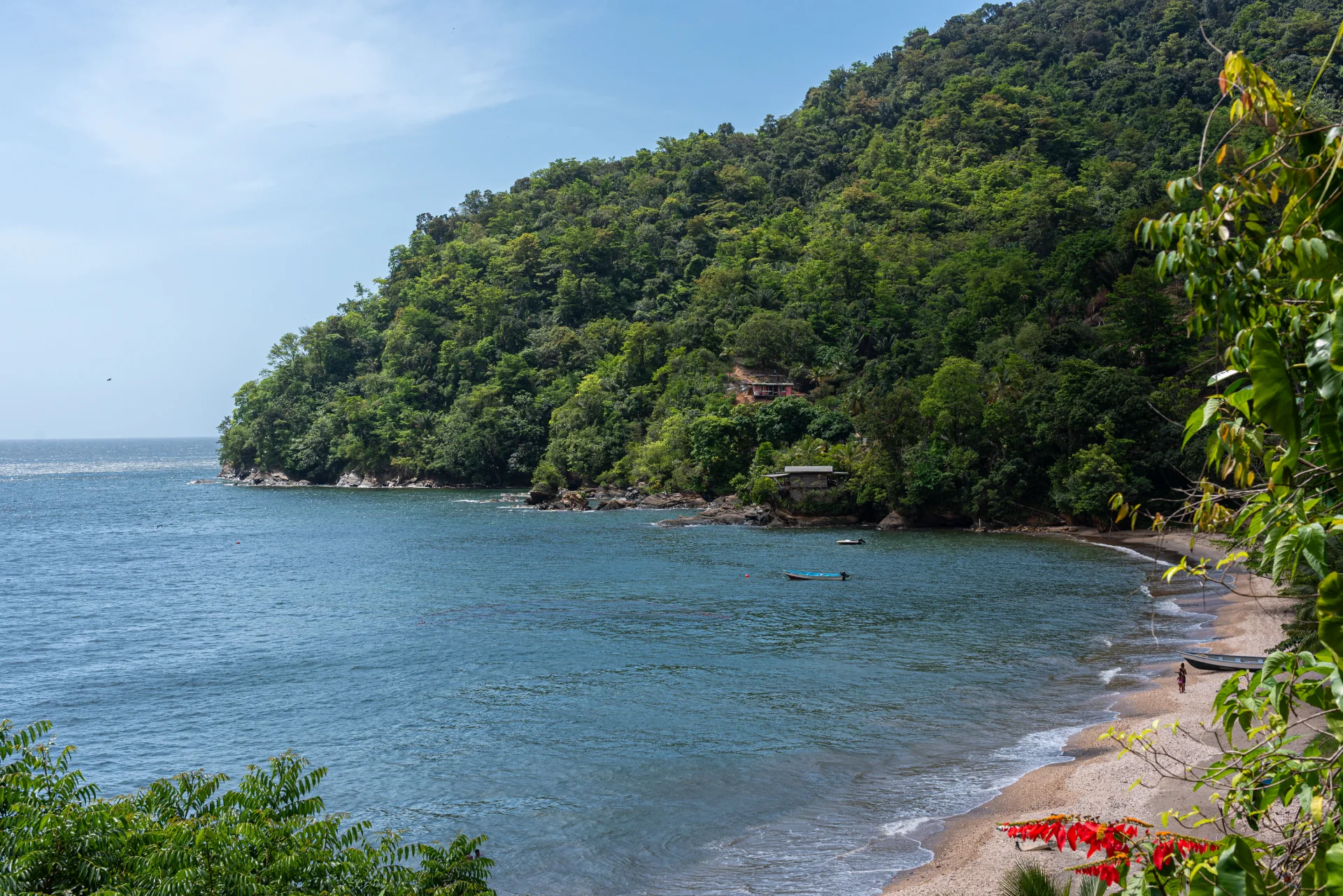 Caraibi