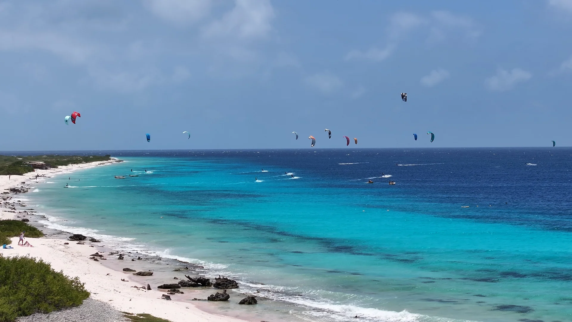 Bonaire Tauchreise: 8 Tage Drive & Dive