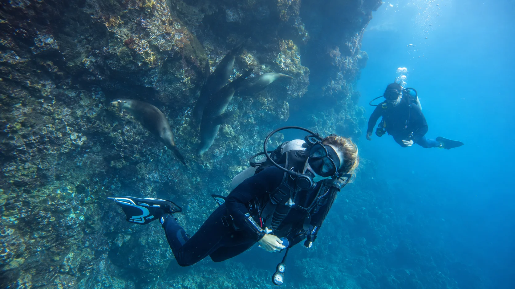 Esperienza subacquea alle Galápagos - San Cristóbal e Santa Cruz