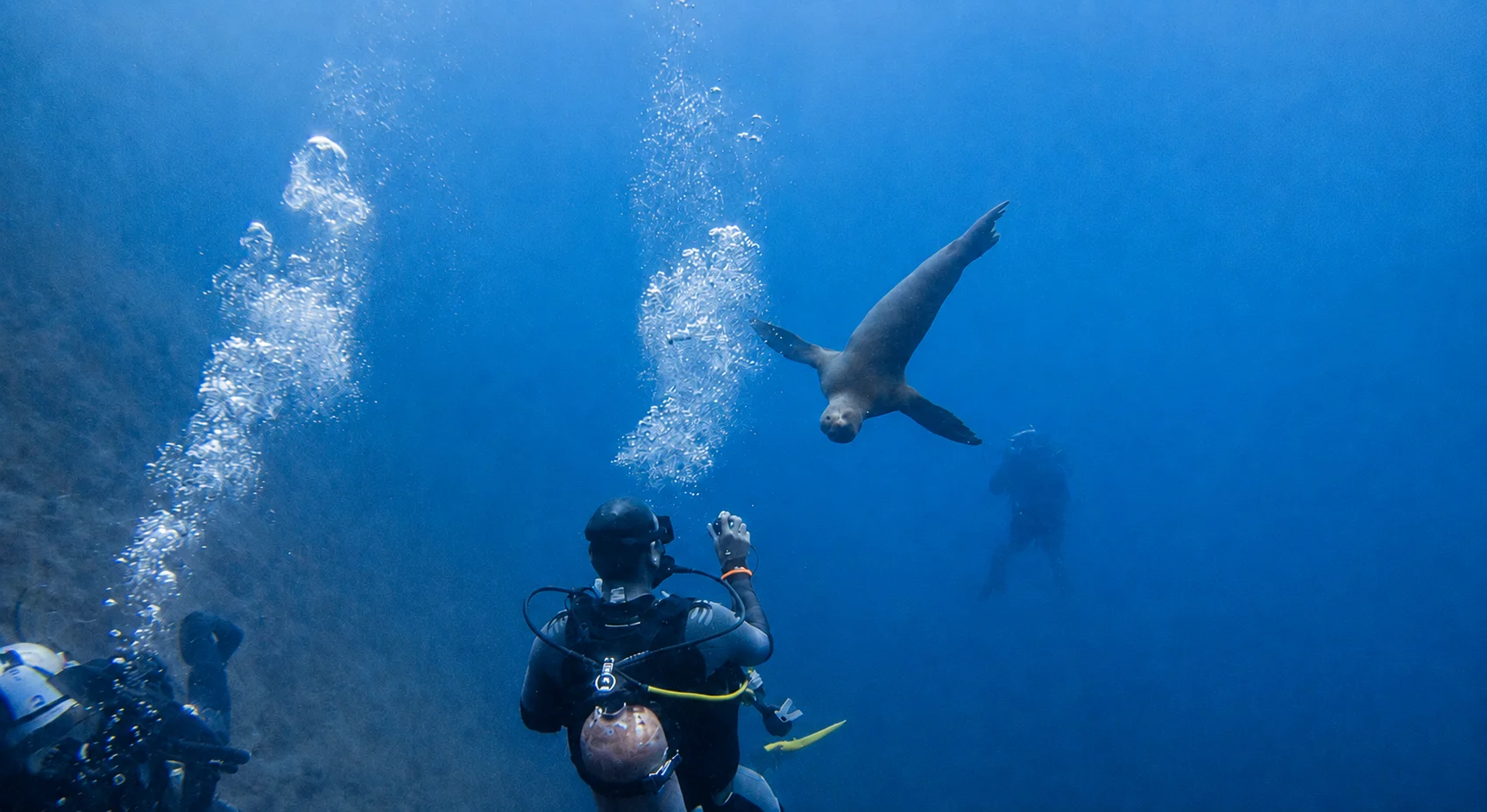 Galápagos: Aprenda a Mergulhar – Uma Experiência PADI Open Water