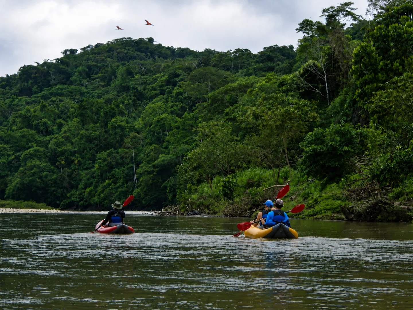 Waorani Tribe Kayak Expedition - A Deep Amazonian Journey