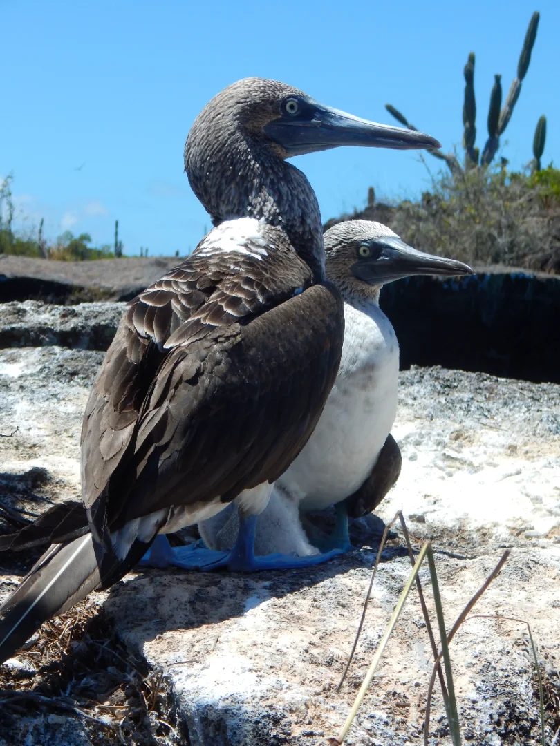 Galápagos Multisport: - Immersive Island Journey