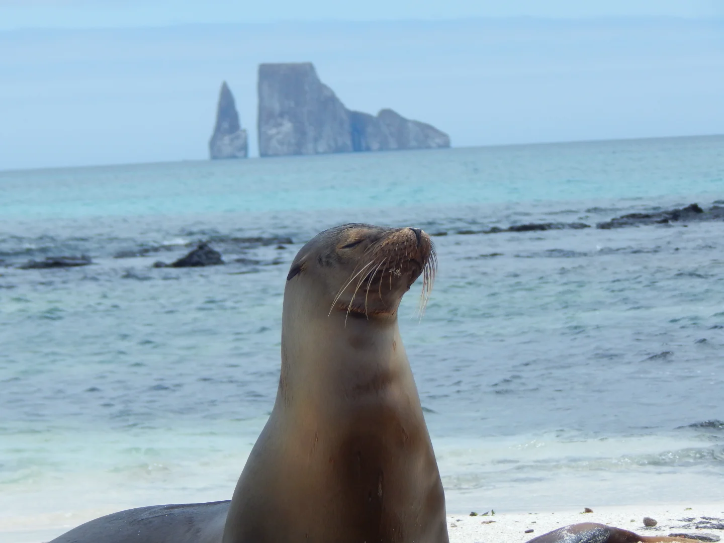 Galápagos Exploration - An Extraordinary Wildlife and Marine Adventure