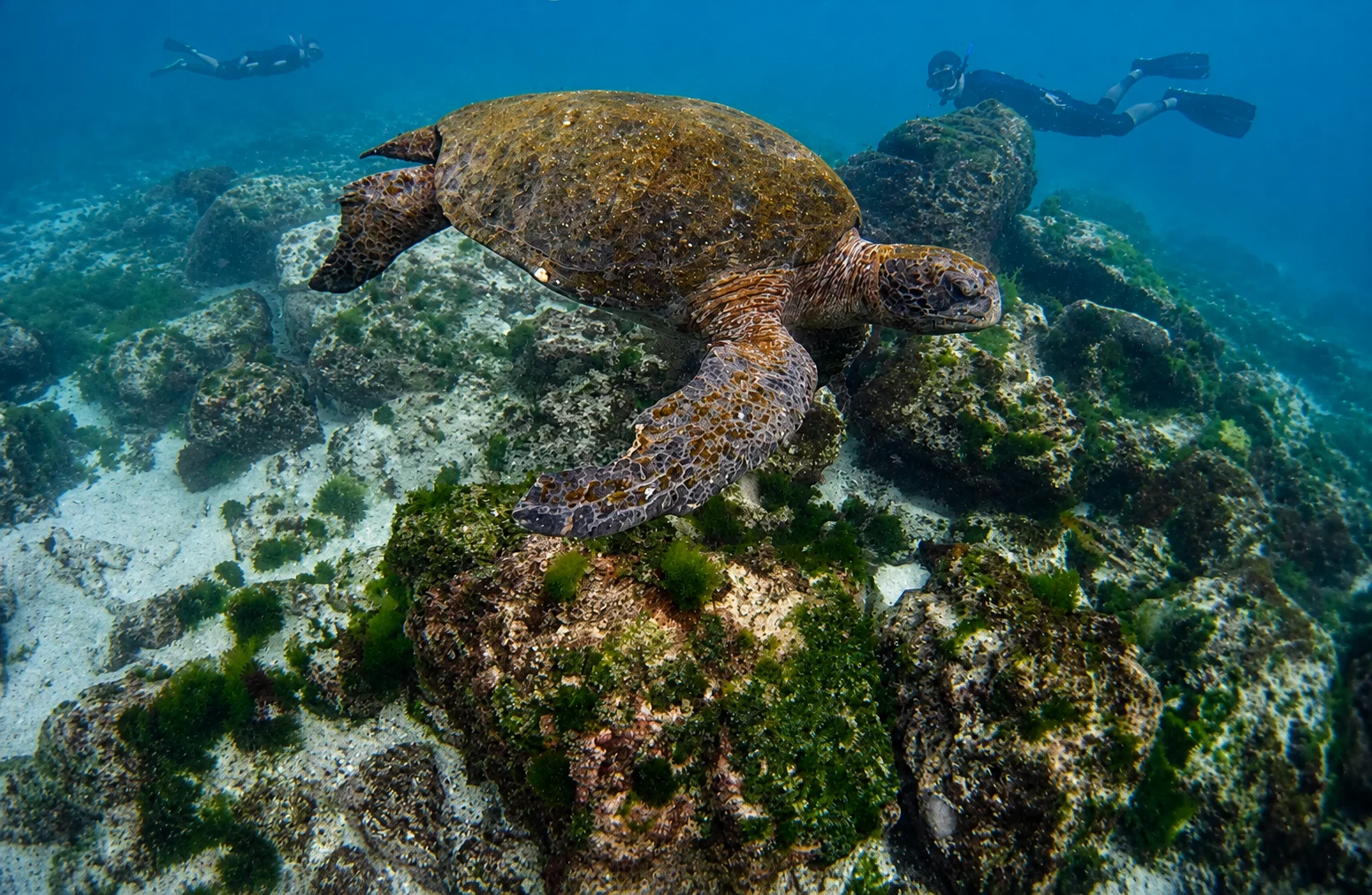 Galápagos Multisport: - Immersive Island Journey