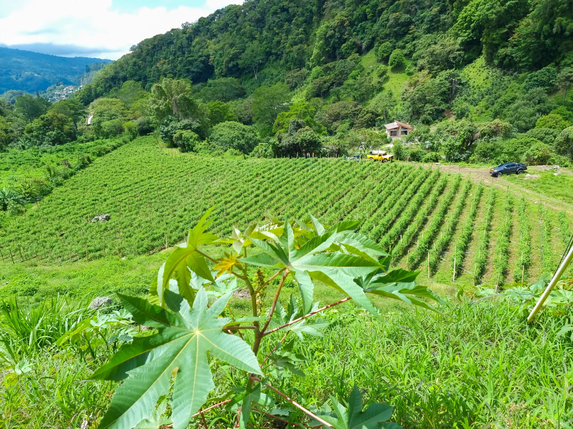 Panama Beyond the Canal: Culture, Boquete Highlands & Caribbean Paradise