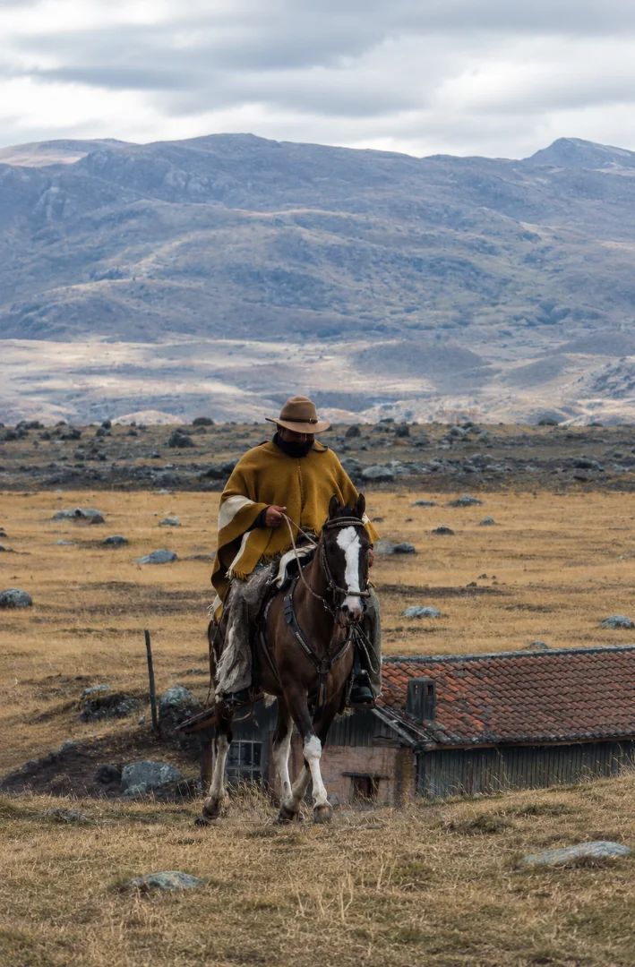 ANDEAN VOLCANOES ON HORSEBACK - Ecuador's highlands from the saddle