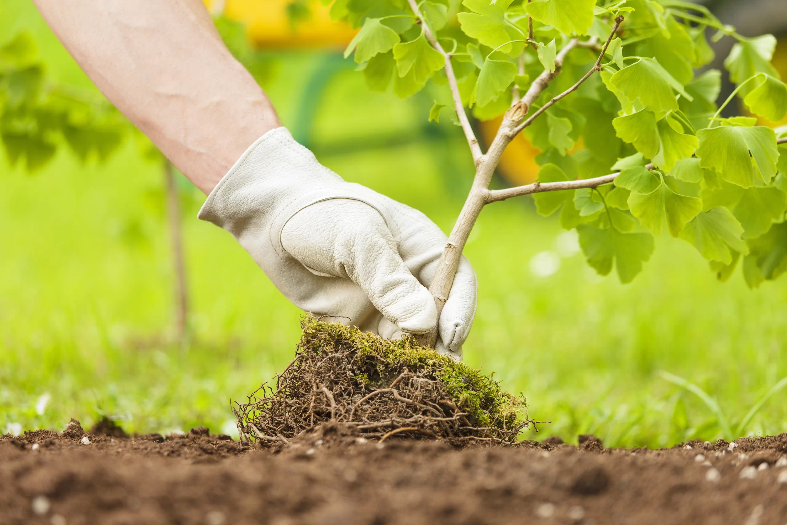 Transparência e compromisso com a sustentabilidade