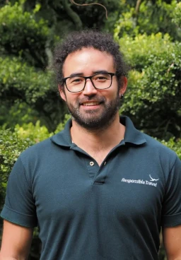 Elmer Romero - IT Development