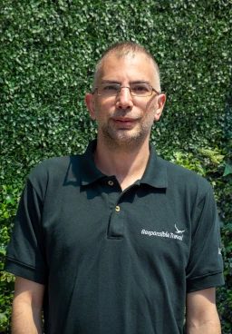 Jonathan Aulestia - IT Development